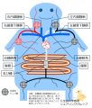 2025年2月28日 (金) 10:02時点における版のサムネイル