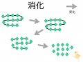 2016年10月27日 (木) 18:55時点における版のサムネイル