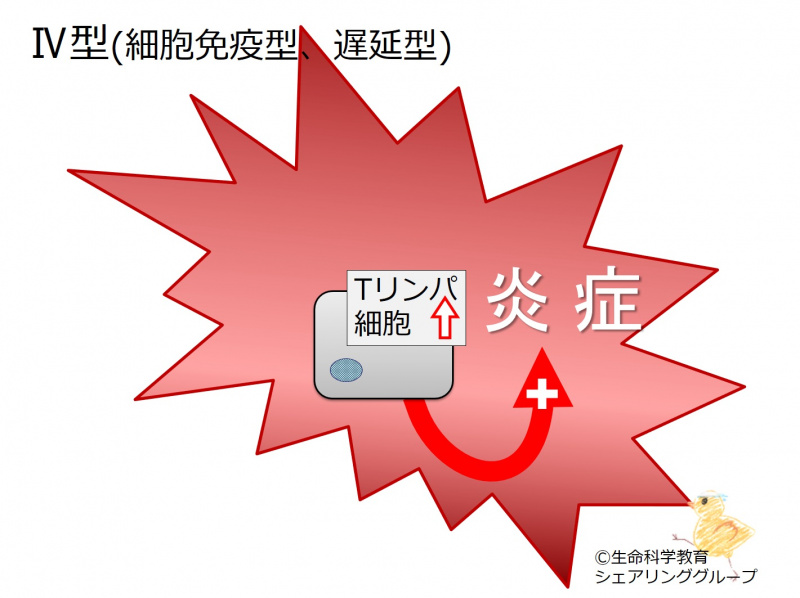 ファイル:04282.jpg