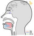 2025年2月18日 (火) 13:42時点における版のサムネイル