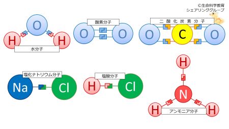 /wiki/images/thumb/3/31/BasicMolecularsSummary-Jap.jpg/450px-BasicMolecularsSummary-Jap.jpg