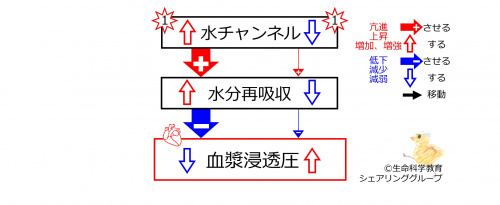 WaterChannelseffectSummaryBasic-JPN.jpg