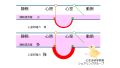 2025年5月23日 (金) 11:35時点における版のサムネイル