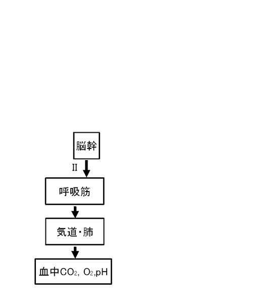 ファイル:01290.jpg