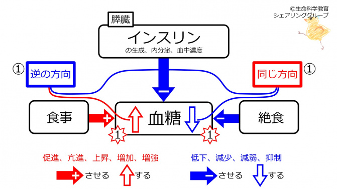 Insulin-beforeFBsummary.jpg