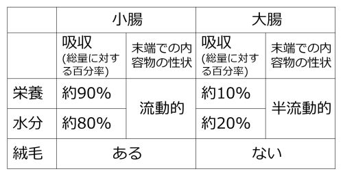 Small-large-intestine-comparison-basic-Jpn.jpg