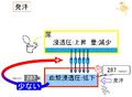 2011年4月8日 (金) 11:11時点における版のサムネイル