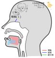 2025年2月18日 (火) 13:38時点における版のサムネイル