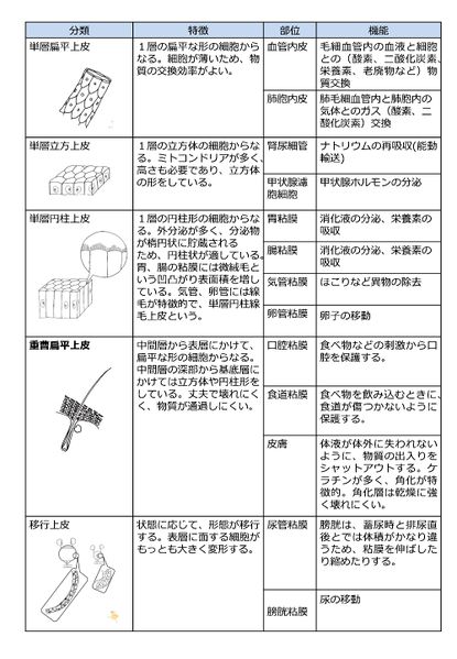 ファイル:まとめ表1211.jpg