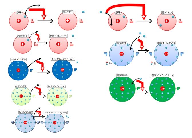 イオンの種類まとめ.jpg
