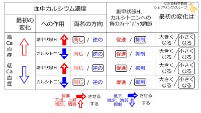 /wiki/images/thumb/5/54/ParathyroidCTnegFB-BasicTable-Jpn.jpg/400px-ParathyroidCTnegFB-BasicTable-Jpn.jpg