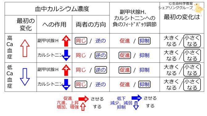 ParathyroidCTnegFB-BasicTable-Jpn.jpg