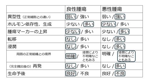 /wiki/images/thumb/5/58/TumorBenignMalignantBasic-Jpn.jpg/500px-TumorBenignMalignantBasic-Jpn.jpg