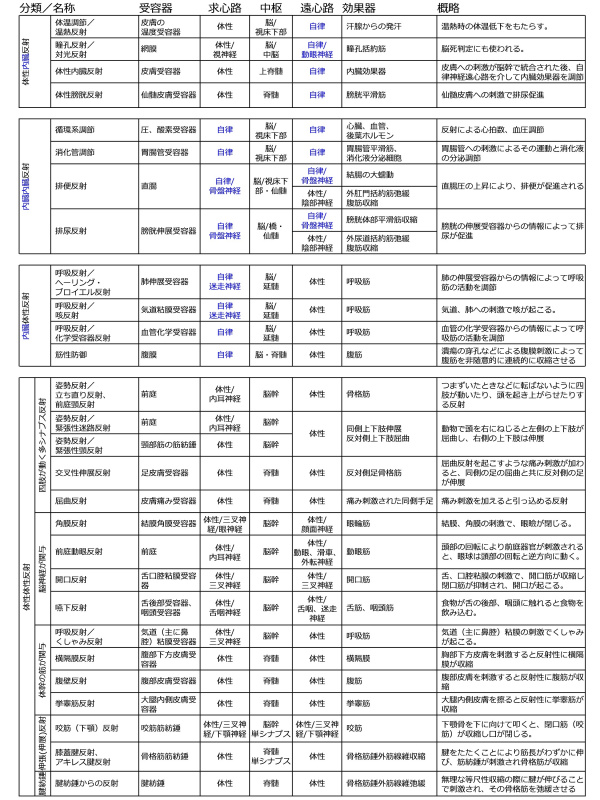 神経反射まとめ.jpg