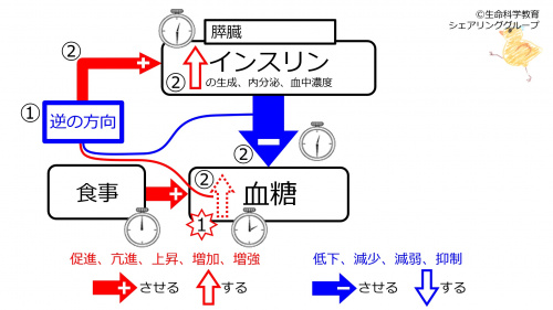 PancreasSufficiency.jpg