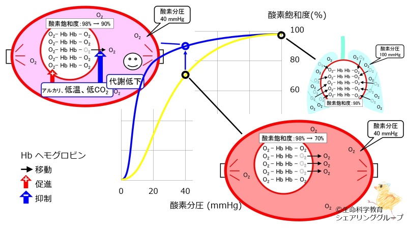 ファイル:03308.jpg