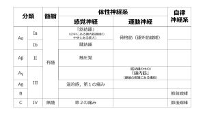/wiki/images/thumb/6/60/NervFiberBasicClassification.jpg/300px-NervFiberBasicClassification.jpg