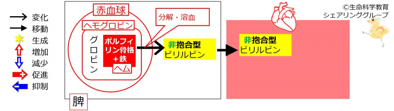 ファイル:01303.jpg