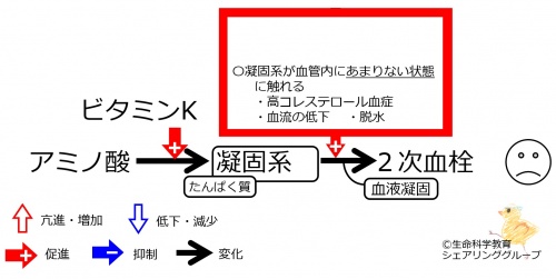 VitK-bad-coagulation.jpg