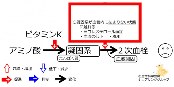 VitK-bad-coagulation.jpg