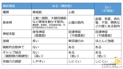 /wiki/images/thumb/7/70/Muscles-basic-table-Jpn.jpg/400px-Muscles-basic-table-Jpn.jpg