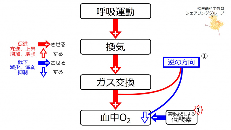 ファイル:DecO2.jpg