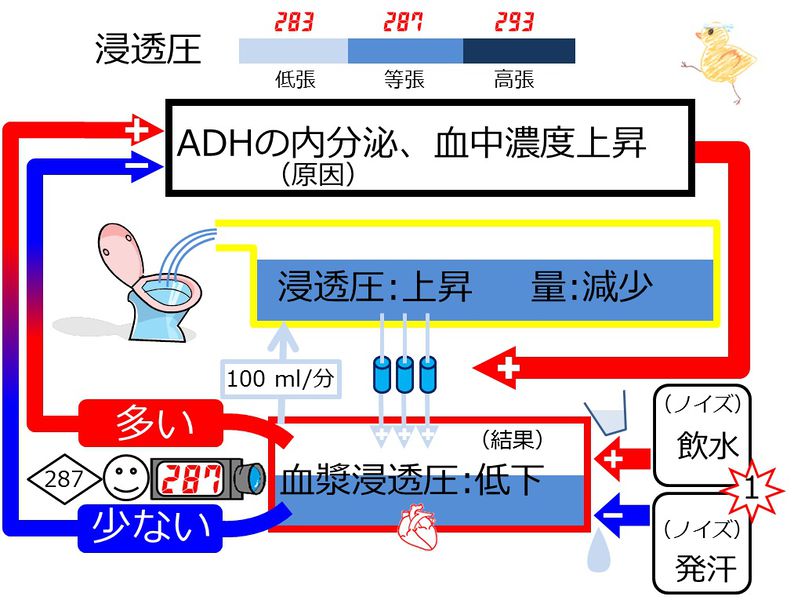 ファイル:04001.jpg