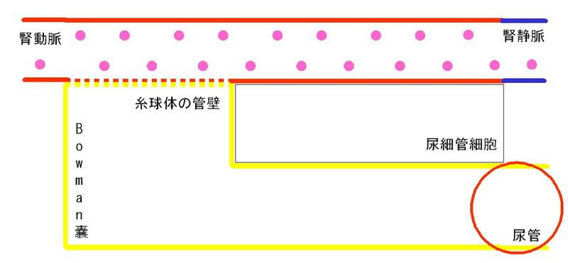 ファイル:00284.jpg