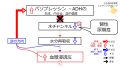 2024年8月4日 (日) 15:56時点における版のサムネイル