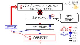 /wiki/images/thumb/7/7a/RenalDiabetesInsipidus-Simple-Jpn.jpg/280px-RenalDiabetesInsipidus-Simple-Jpn.jpg