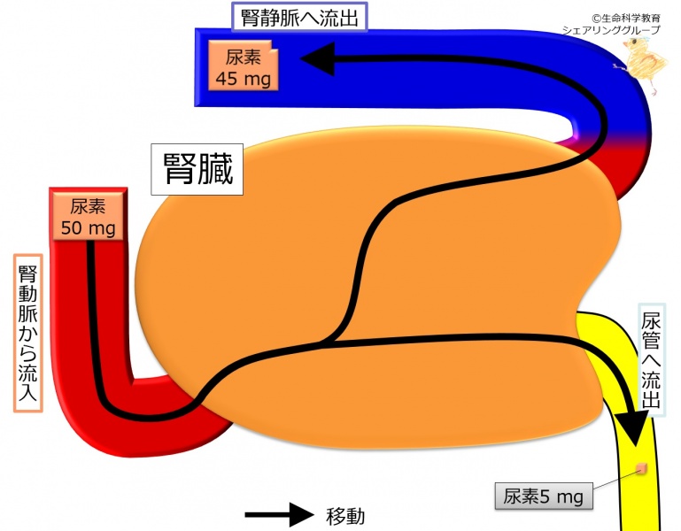ファイル:04327.jpg