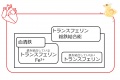 2015年9月2日 (水) 20:58時点における版のサムネイル