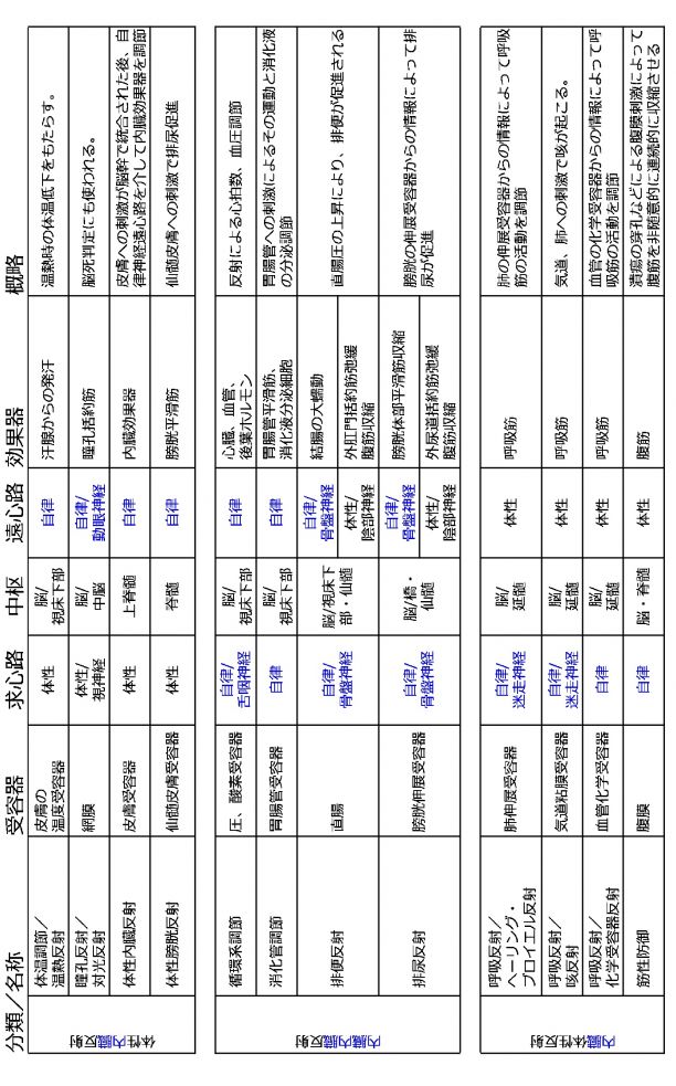 神経反射まとめ1.jpg