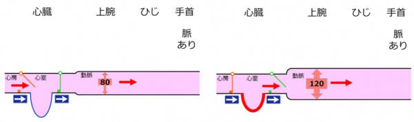 BPmeasurementOrientation.jpg