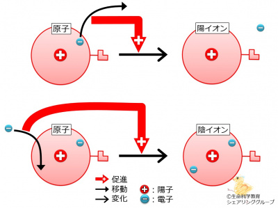 イオンとは.jpg