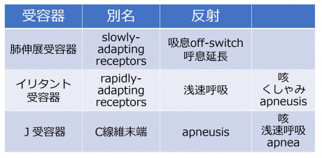 RespiratoryVagalReflex-Jpn.jpg