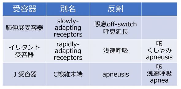 /wiki/images/thumb/8/8f/RespiratoryVagalReflex-Jpn.jpg/590px-RespiratoryVagalReflex-Jpn.jpg