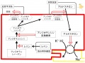 2011年4月7日 (木) 23:13時点における版のサムネイル