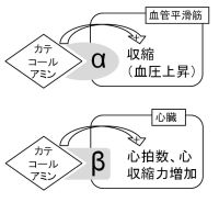 /wiki/images/thumb/9/97/02538.jpg/200px-02538.jpg