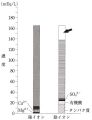 2025年4月23日 (水) 10:30時点における版のサムネイル