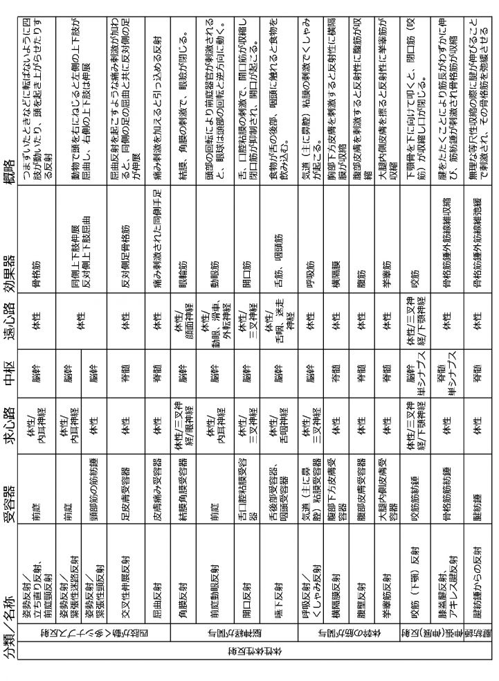 神経反射まとめ2.jpg