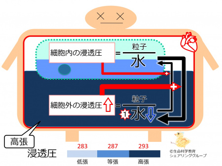 OsmosisHyperTonic-basic-Jpn.jpg