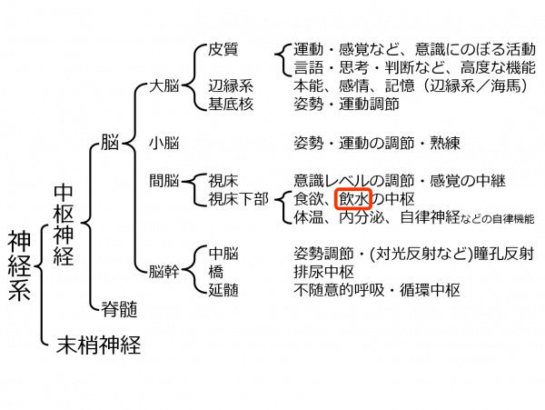 BrainLocalization-5.jpg