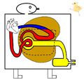 2011年4月8日 (金) 00:01時点における版のサムネイル