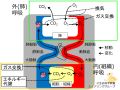 2025年1月28日 (火) 15:02時点における版のサムネイル