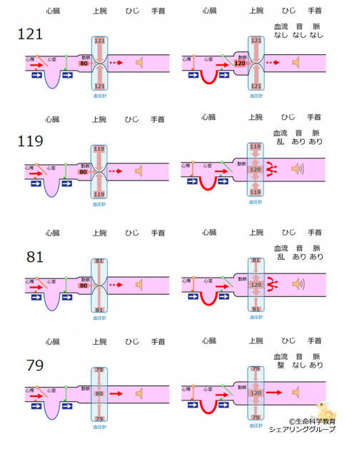 BPmeasurementSummary.jpg