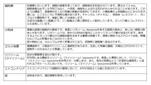 /wiki/images/thumb/a/a6/CellOrganelleBasicSummaryTable-Jpn.jpg/300px-CellOrganelleBasicSummaryTable-Jpn.jpg