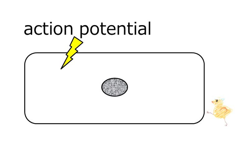 ファイル:2606en.jpg