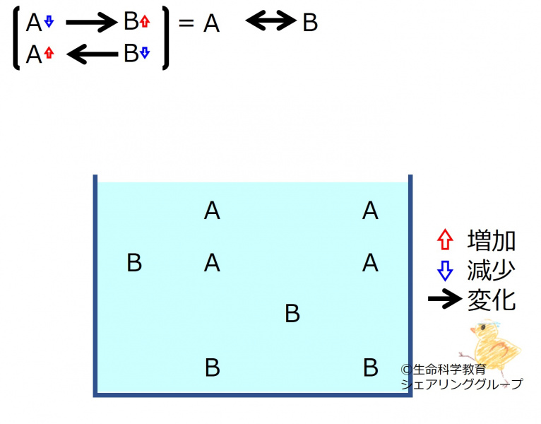 ファイル:ChemicalEquilibrium.jpg