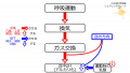 2020年9月21日 (月) 07:42時点における版のサムネイル